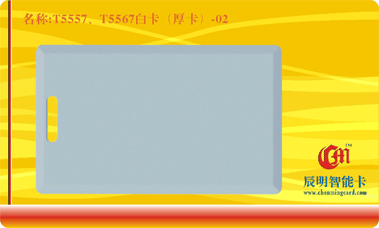 T5557��T5567?�׿����񿨣�-02 